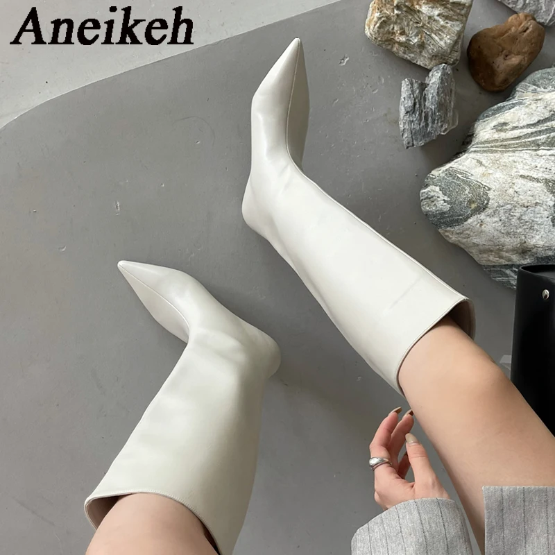 Aneikeh 2026 mode Sexy pointu  - Women'S Fashion Knee High Boots avis et prix